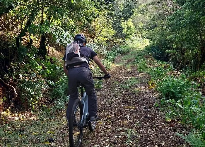 Gospodarstwo agroturystyczne Abrigos Baleeiros Turismo No Espaco Rural *