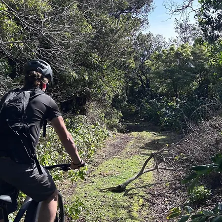 Abrigos Baleeiros Turismo No Espaco Rural 农家乐