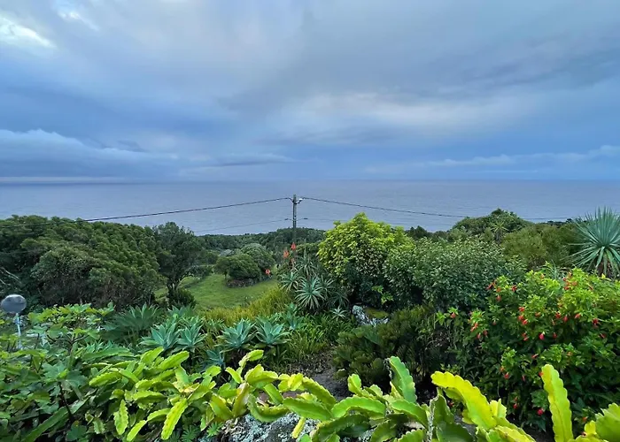 Farm stay Abrigos Baleeiros Feiteira