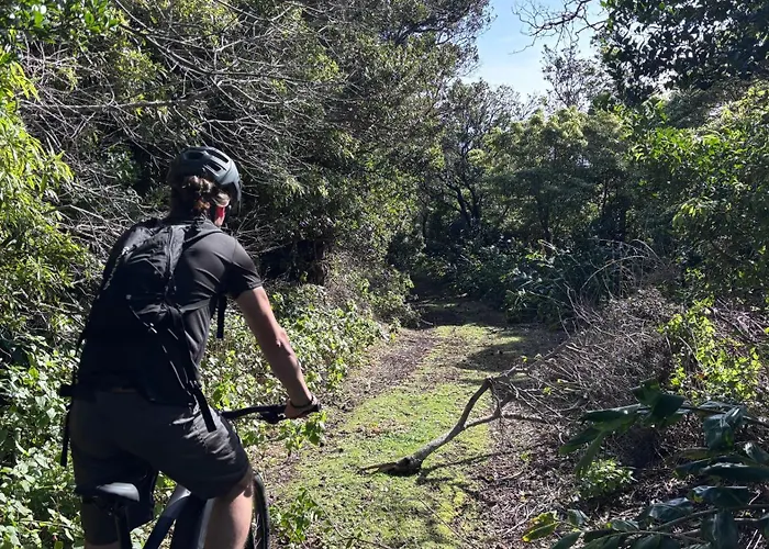 Abrigos Baleeiros Farm stay